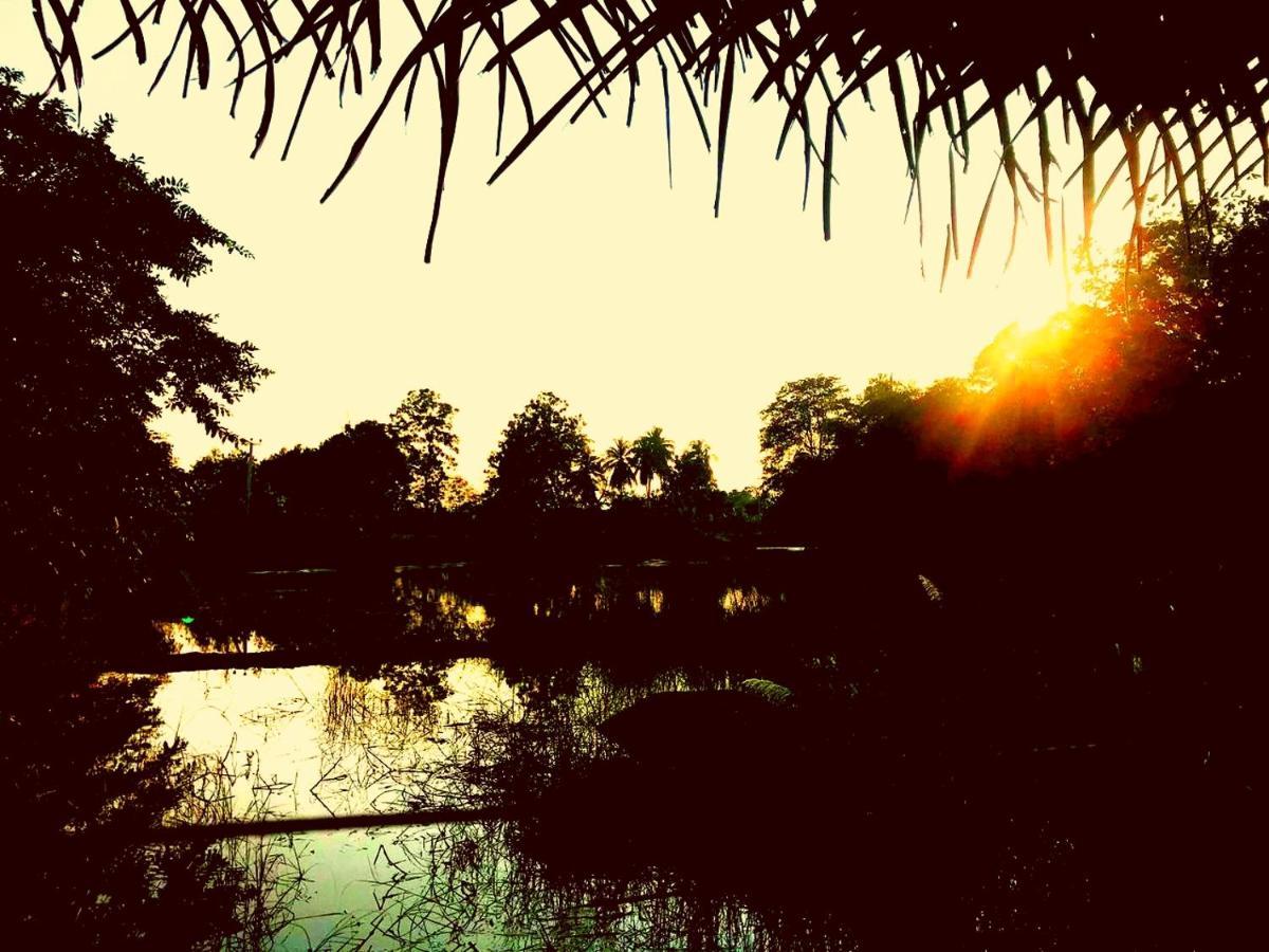 אודוואלאווה Aliya Riverside & Safari Resort מראה חיצוני תמונה