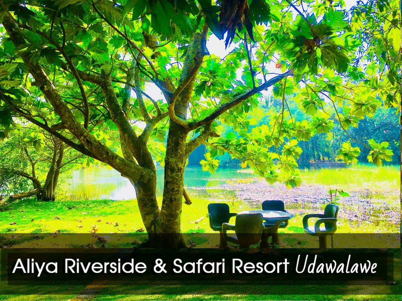 אודוואלאווה Aliya Riverside & Safari Resort מראה חיצוני תמונה