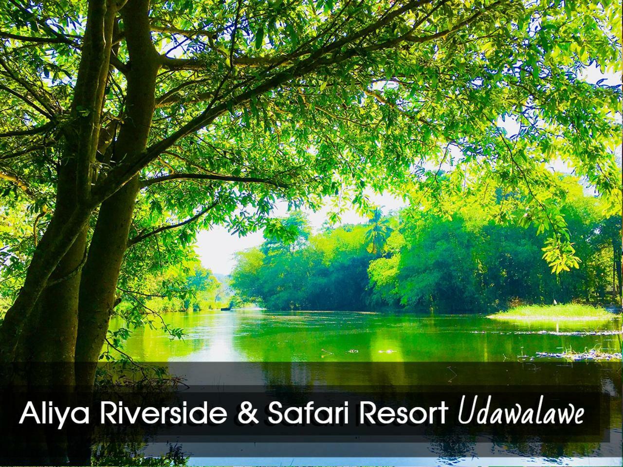 אודוואלאווה Aliya Riverside & Safari Resort מראה חיצוני תמונה