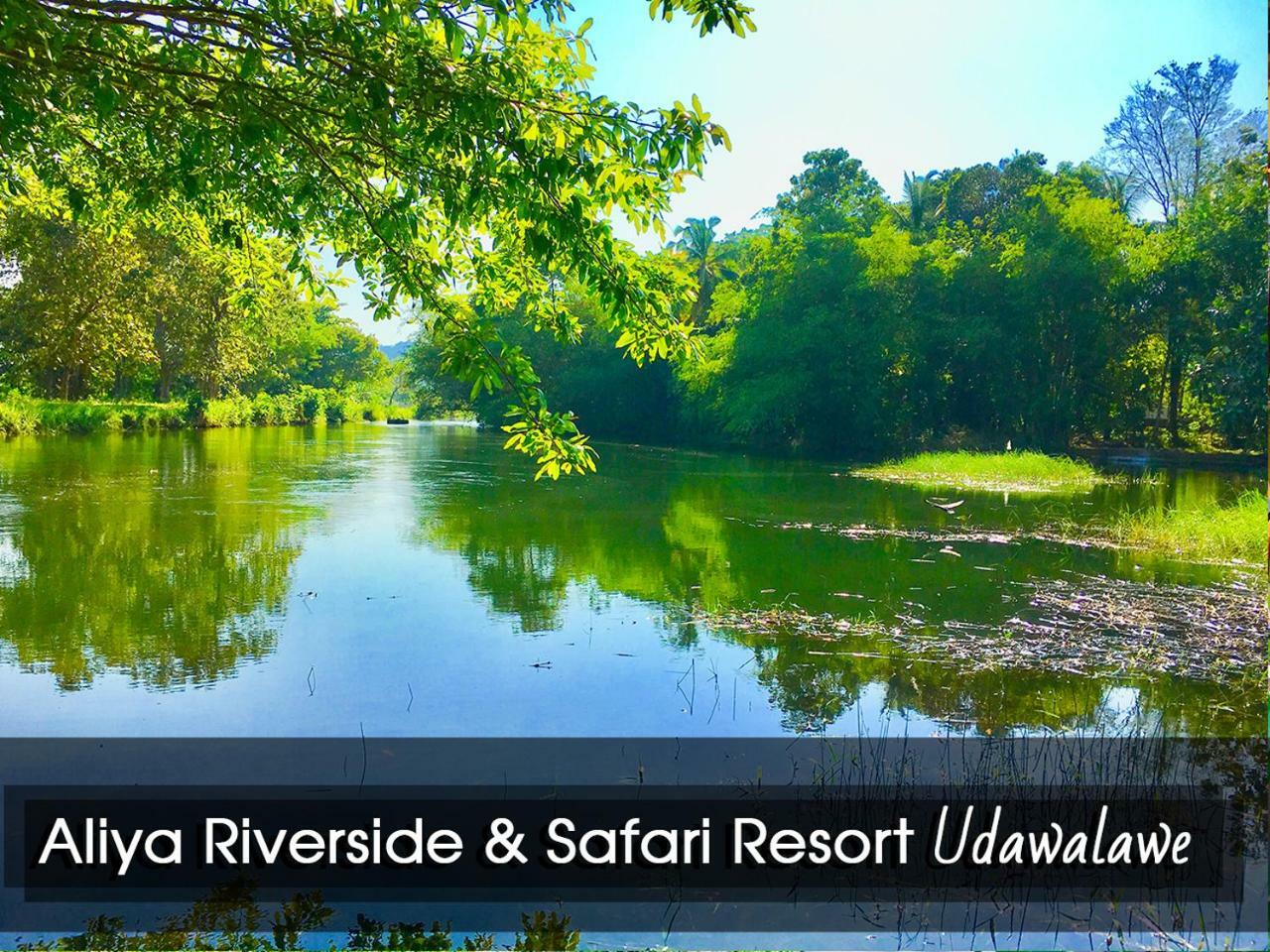 אודוואלאווה Aliya Riverside & Safari Resort מראה חיצוני תמונה