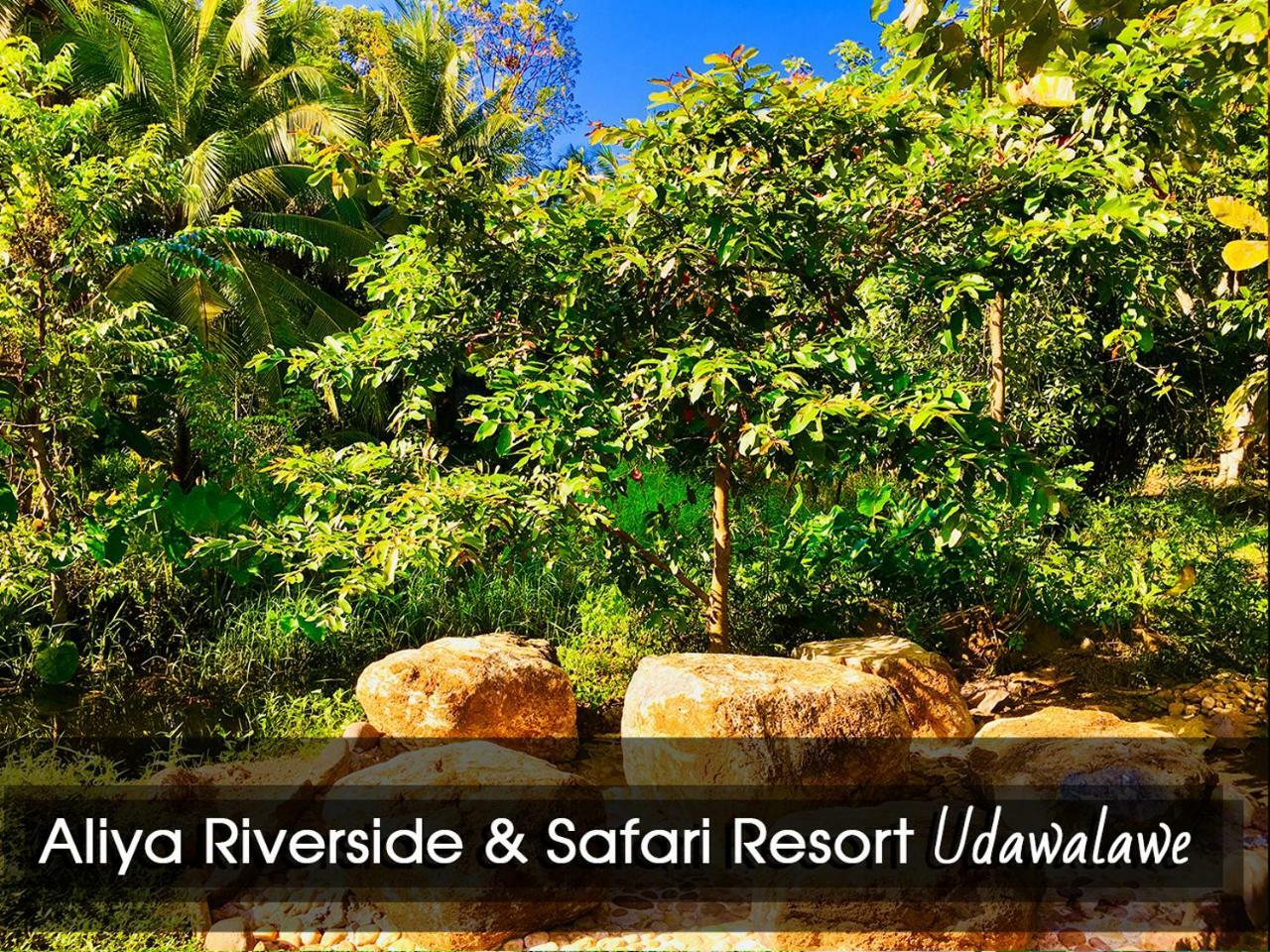 אודוואלאווה Aliya Riverside & Safari Resort מראה חיצוני תמונה