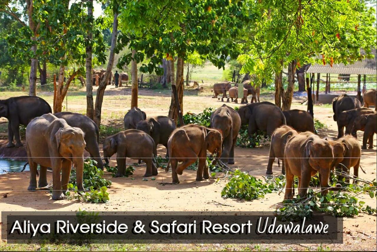 אודוואלאווה Aliya Riverside & Safari Resort מראה חיצוני תמונה