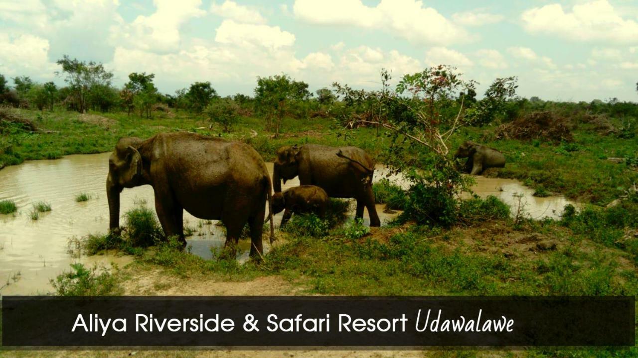 אודוואלאווה Aliya Riverside & Safari Resort מראה חיצוני תמונה