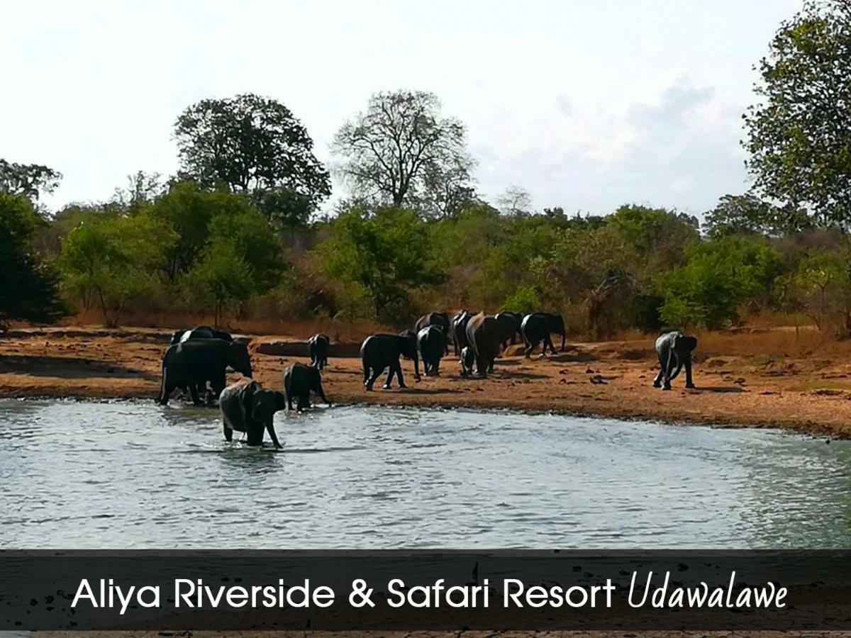 אודוואלאווה Aliya Riverside & Safari Resort מראה חיצוני תמונה