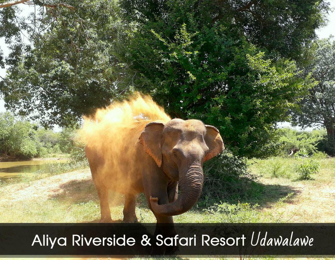אודוואלאווה Aliya Riverside & Safari Resort מראה חיצוני תמונה