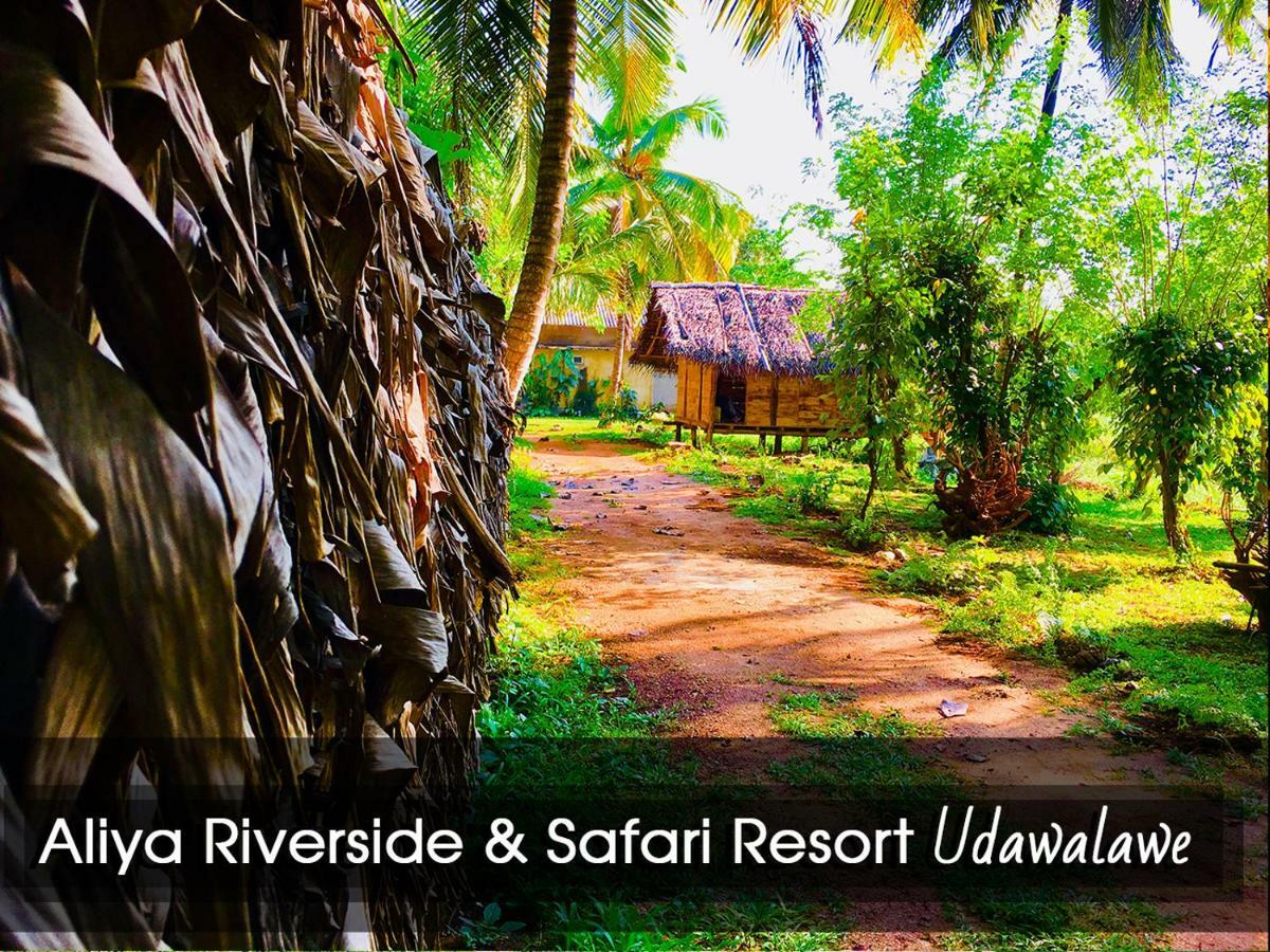 אודוואלאווה Aliya Riverside & Safari Resort מראה חיצוני תמונה